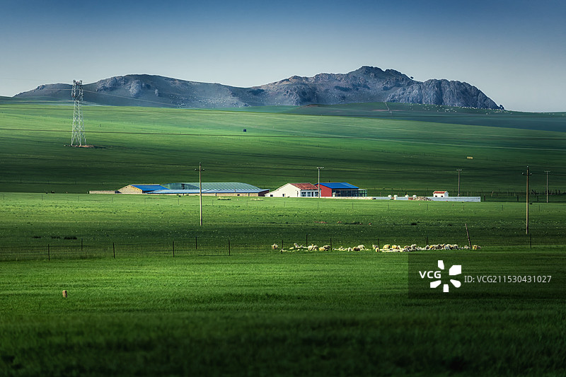 夏季的草原和远处的雪山图片素材