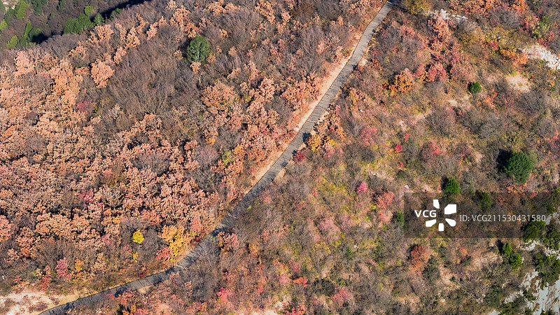 山西晋城浮山街村红叶无人机航拍俯瞰图片素材
