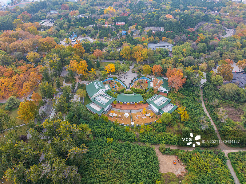 济南小清河秋色图片素材