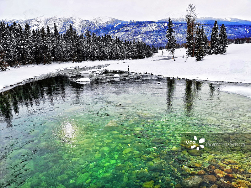 春季的喀纳斯河图片素材