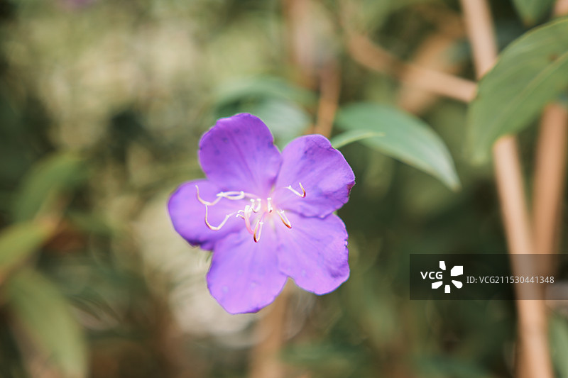 兴宁神光山，合水水库图片素材
