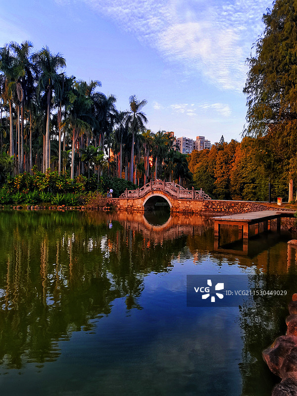 夕阳下华南植物园小桥图片素材