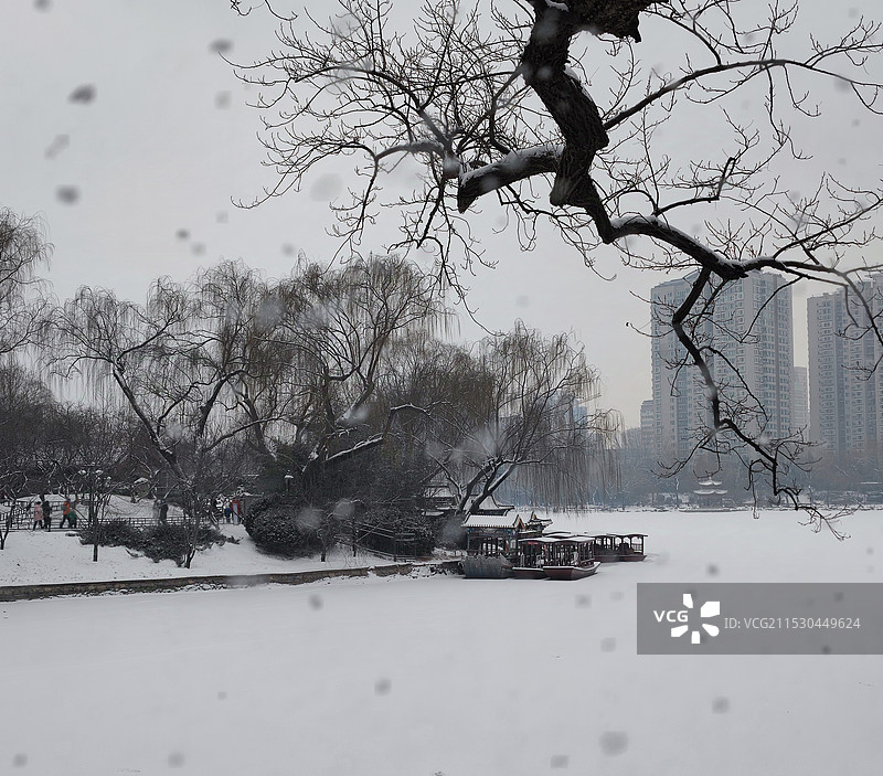 紫竹院雪景图片素材