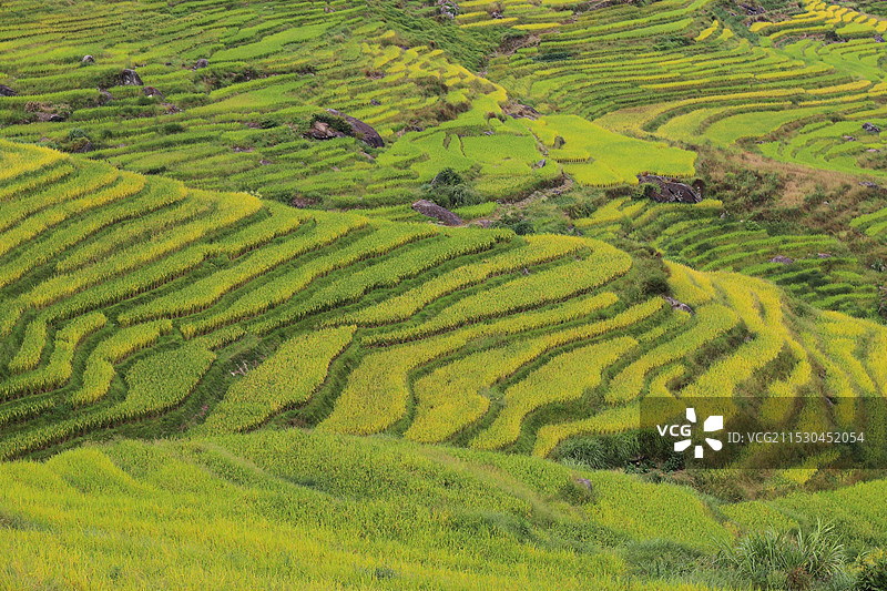 桂林龙脊梯田图片素材