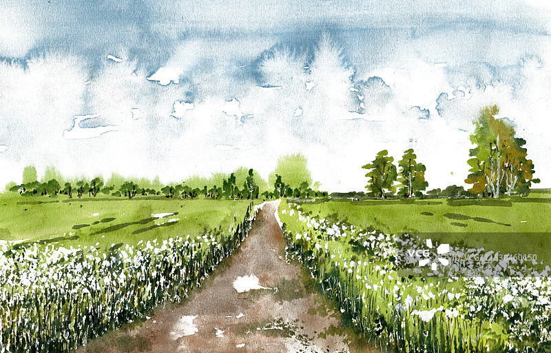 田间的小路图片素材