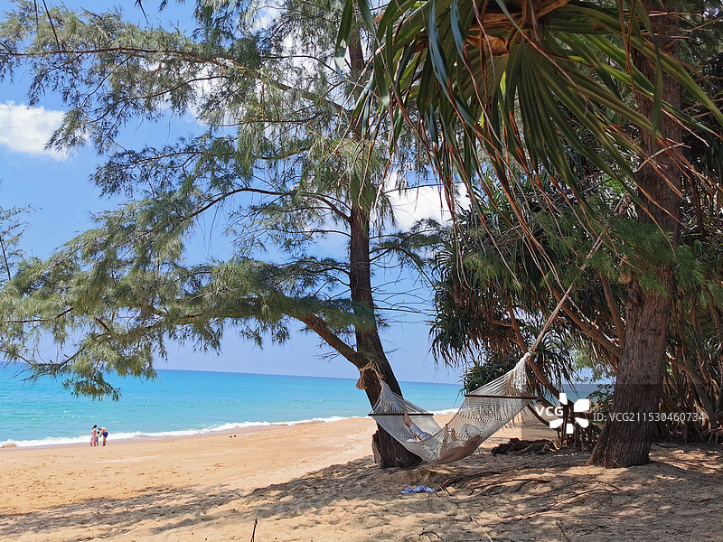 阳光海滩树林中的吊床图片素材