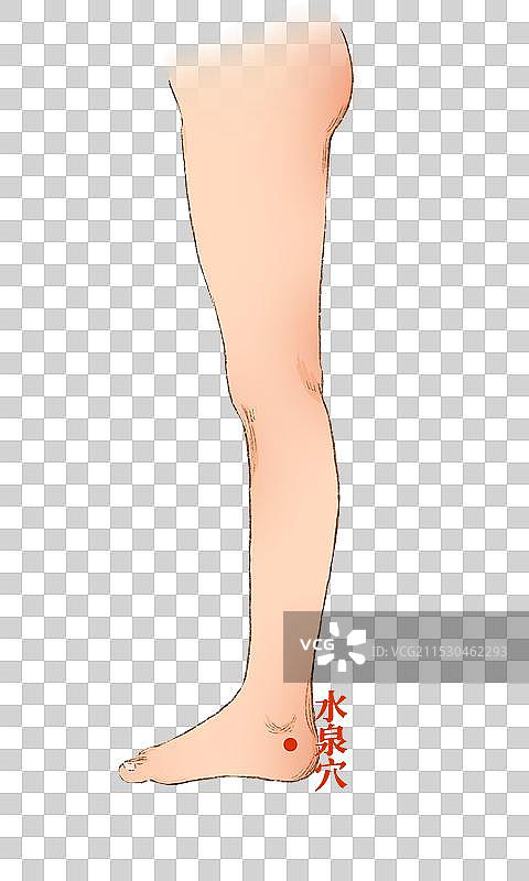 穴位图片素材