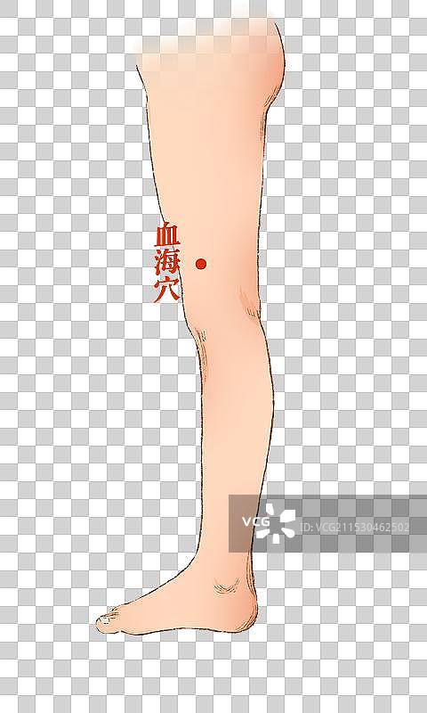 穴位图片素材