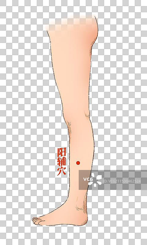 穴位图片素材