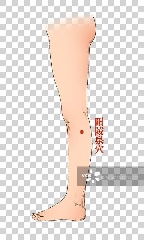 穴位图片素材