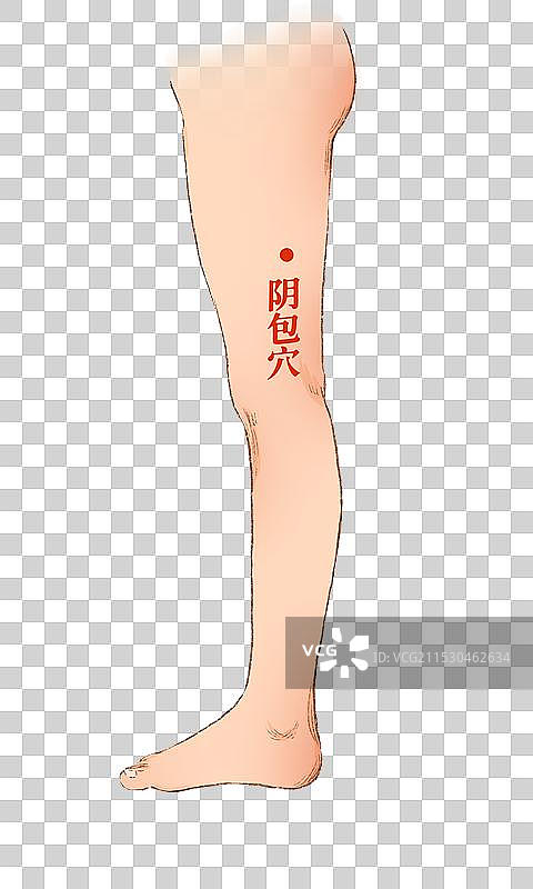 穴位图片素材