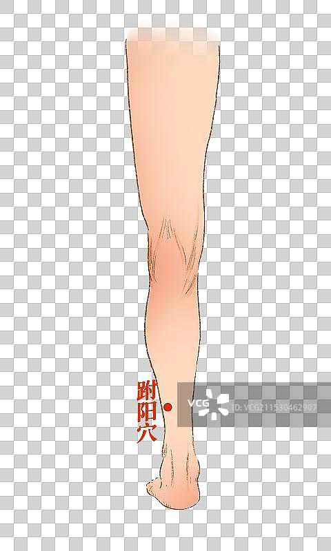 穴位图片素材