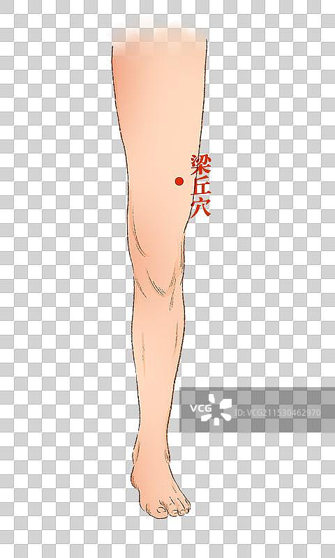 穴位图片素材