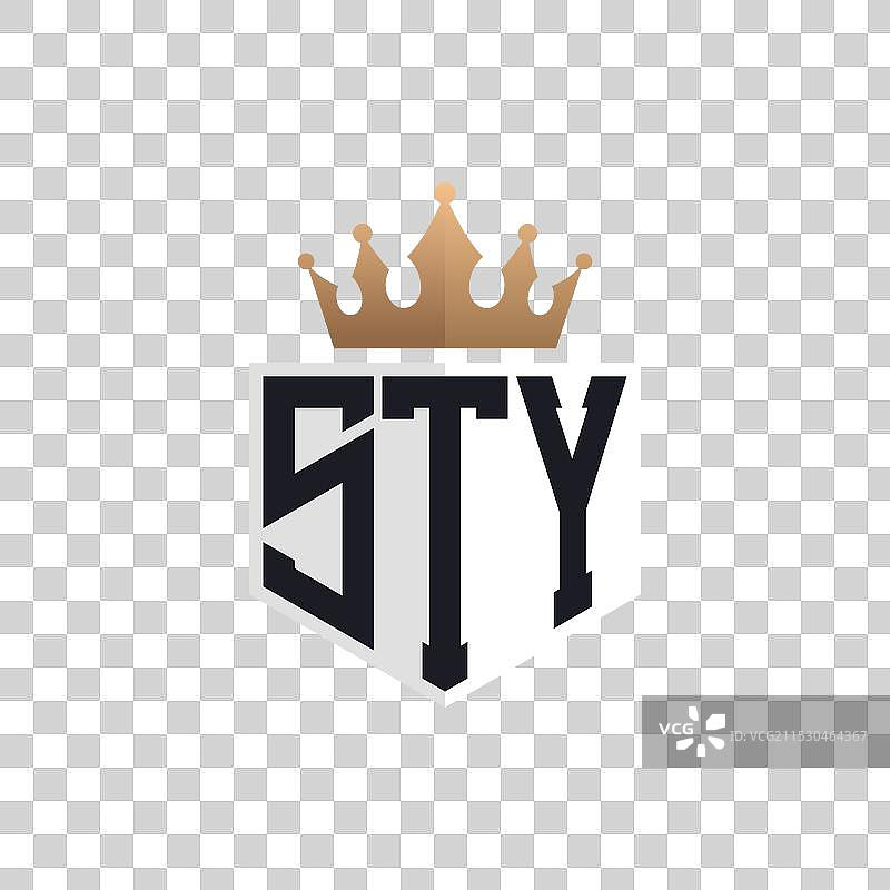 奢华的STY字母标志，配有优雅的王冠图片素材