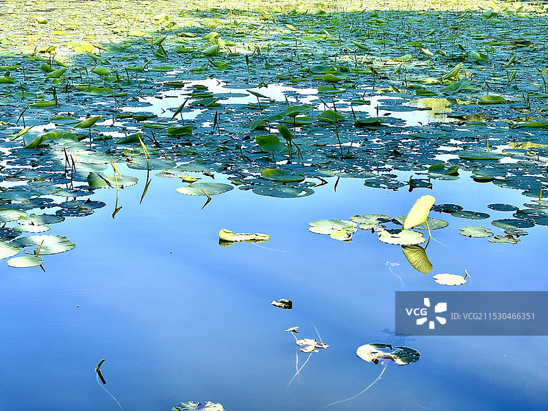 春城~南湖公园图片素材