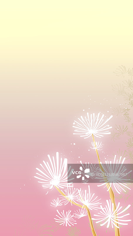 国风蒲公英插画图片素材