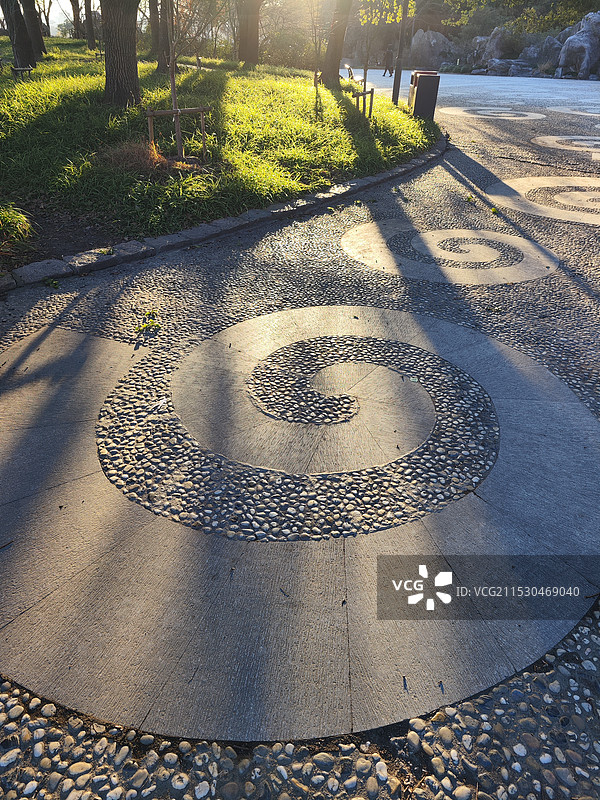 金色的阳光透过树林 贝壳花纹的地面纹理 螺旋形花纹 上海浦东世纪公园冬日暖阳图片素材