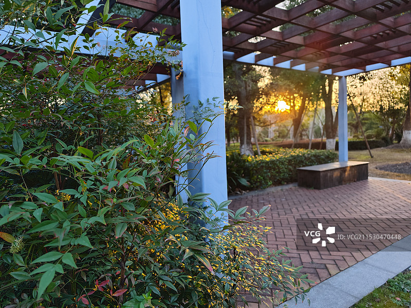 上海松江九科绿洲公园冬季风光图片素材