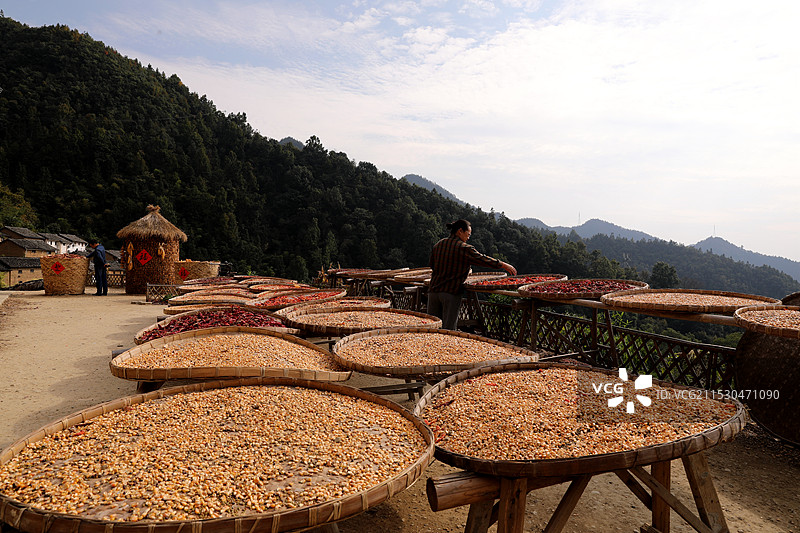 阳产土楼之秋图片素材