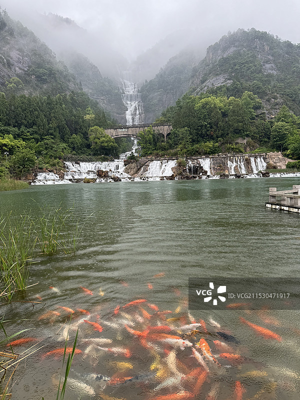 天台山大瀑布和锦鲤图片素材