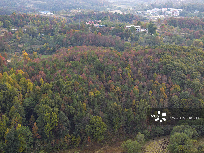 湖北省孝感市大悟县大别山红叶景区航拍图片图片素材