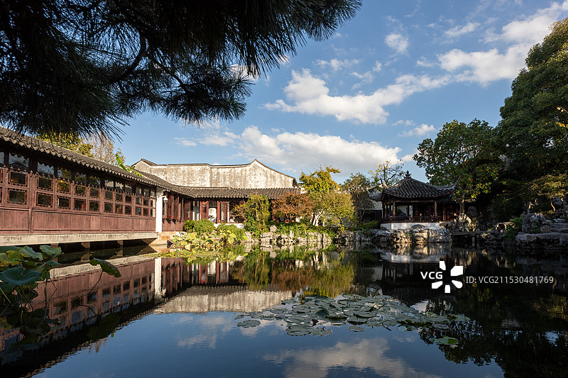 苏州艺圃庭院水景 江南园林的静谧之美图片素材
