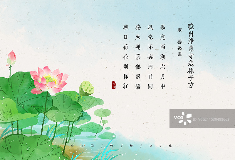 荷花跨页插画图片素材