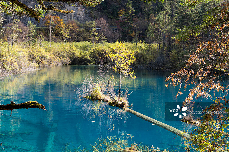 四川九寨沟金铃海图片素材