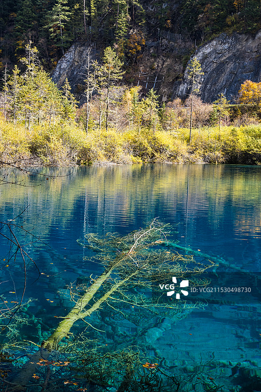 四川九寨沟金铃海图片素材