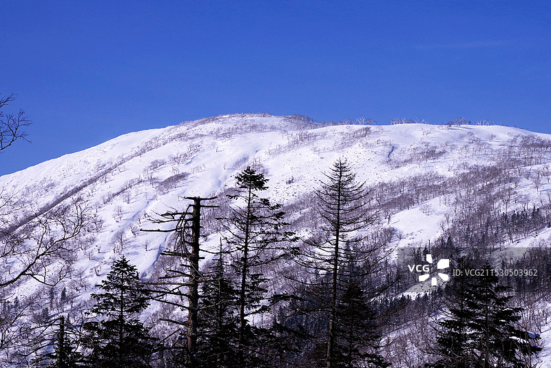 中国雪乡风光图片素材