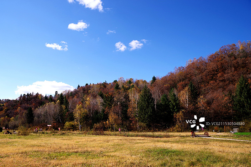 汤原大亮子河森林公园图片素材