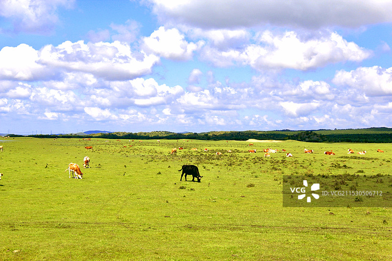 锡林郭勒图片素材