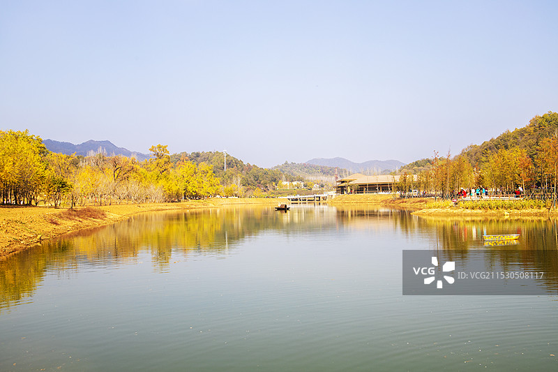 随州千年银杏谷图片素材