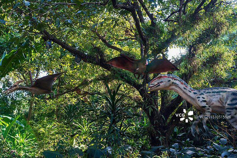 南宁青秀山恐龙乐园仿真迅猛龙与翼龙图片素材