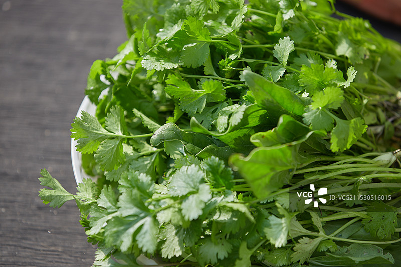 盘子里的新鲜香菜图片素材