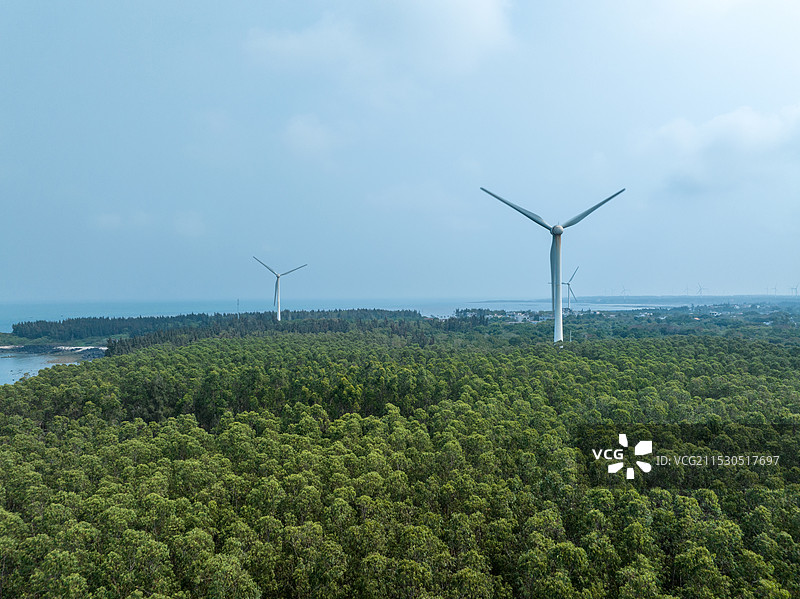 海边森林里的风能风力发电场风车图片素材