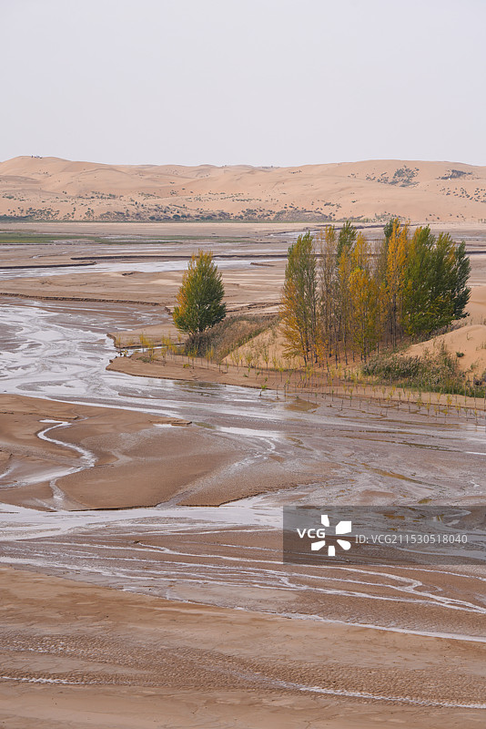 鄂尔多斯 捉鳖湾 达拉特旗库布奇沙漠图片素材