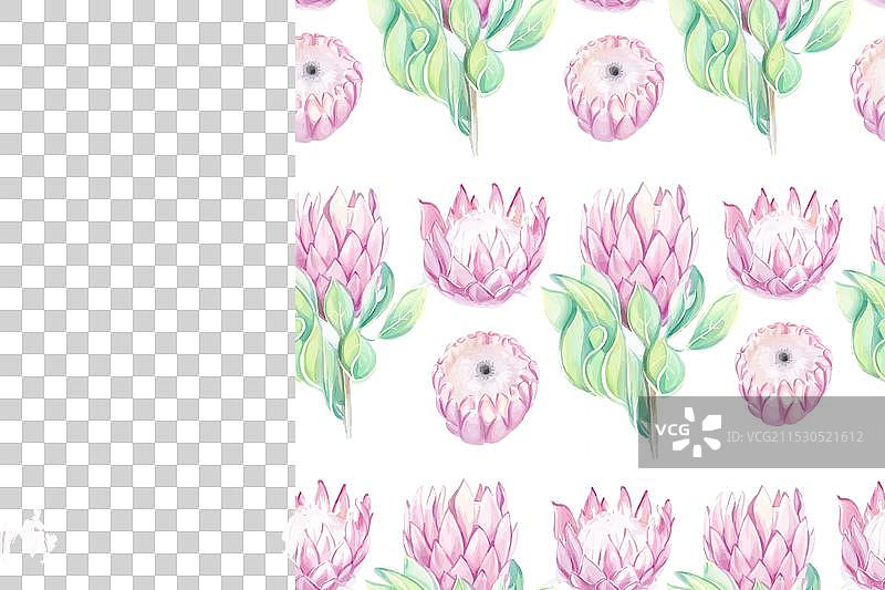 无缝热带图案，带有粉色的普罗提亚花图片素材