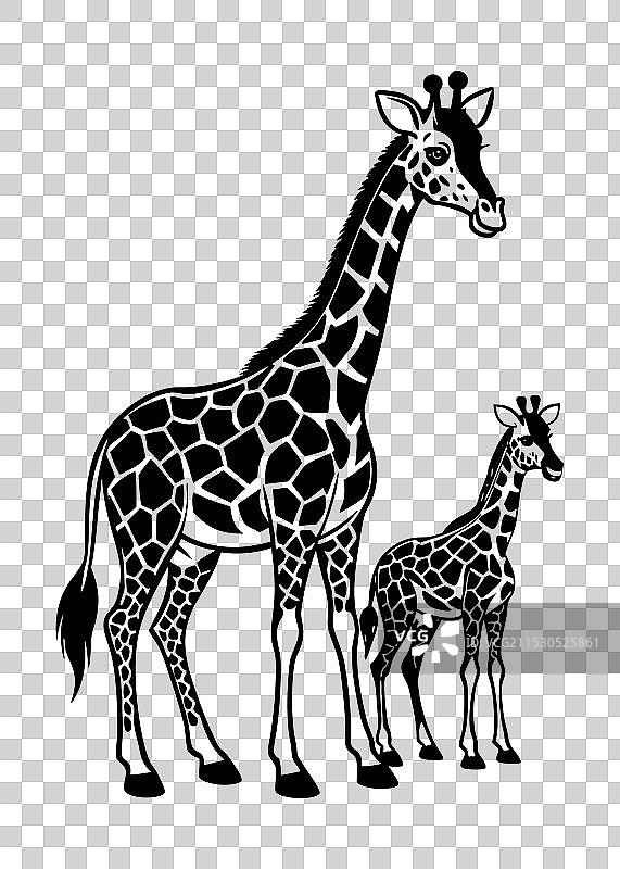 母子长颈鹿剪影图片素材