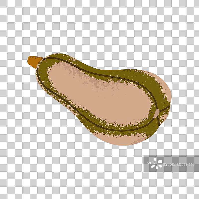 南瓜图标，甜美的全果南瓜图片素材