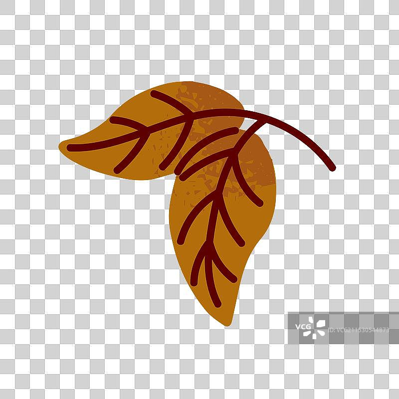 干燥的白桦树秋季落叶图标图片素材