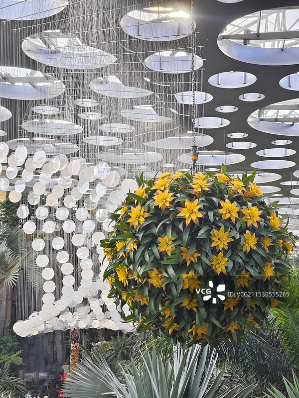 上海温室花园图片素材