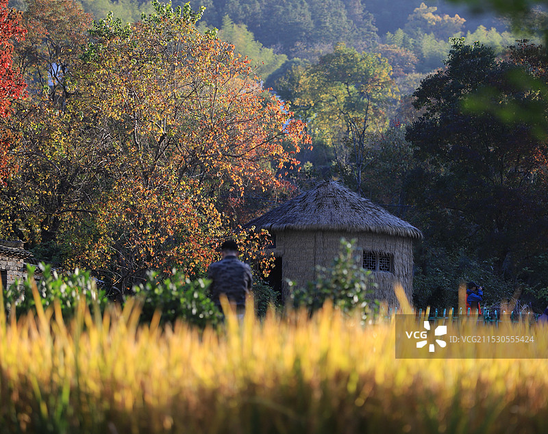 塔川秋色图片素材