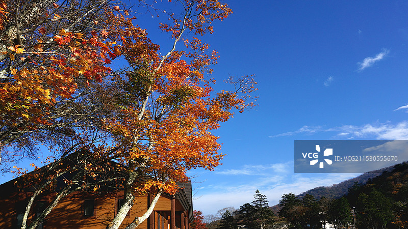 日本栃木县日光市，深秋，中禅寺湖岸边的风景图片素材