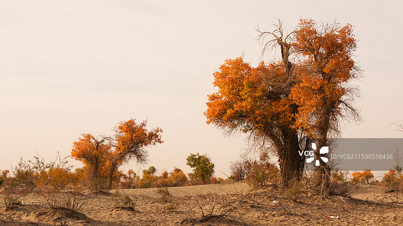 139秘境公路图片素材
