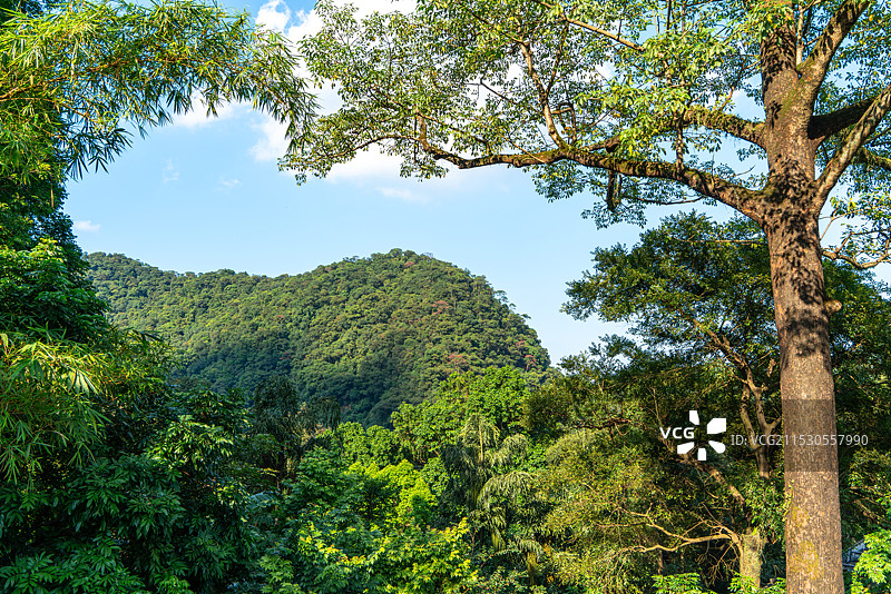 广东肇庆鼎湖山公园山景图片素材