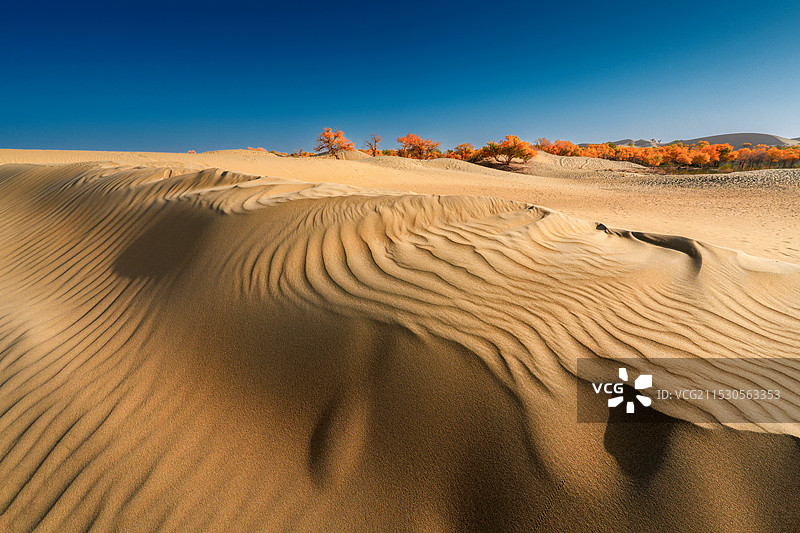 金色的沙丘图片素材