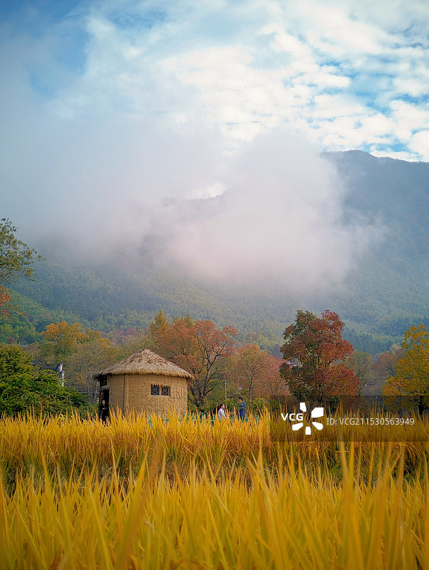 安徽塔川秋景图片素材