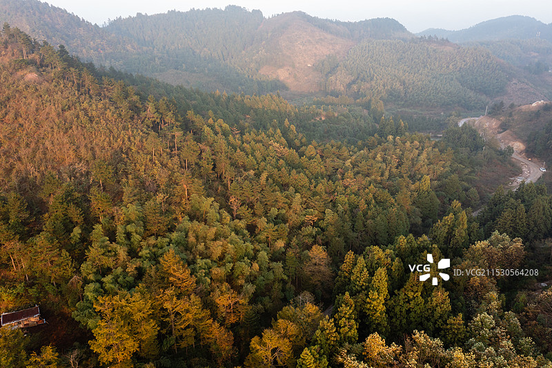 宁波余姚四明山秋季风光图片素材
