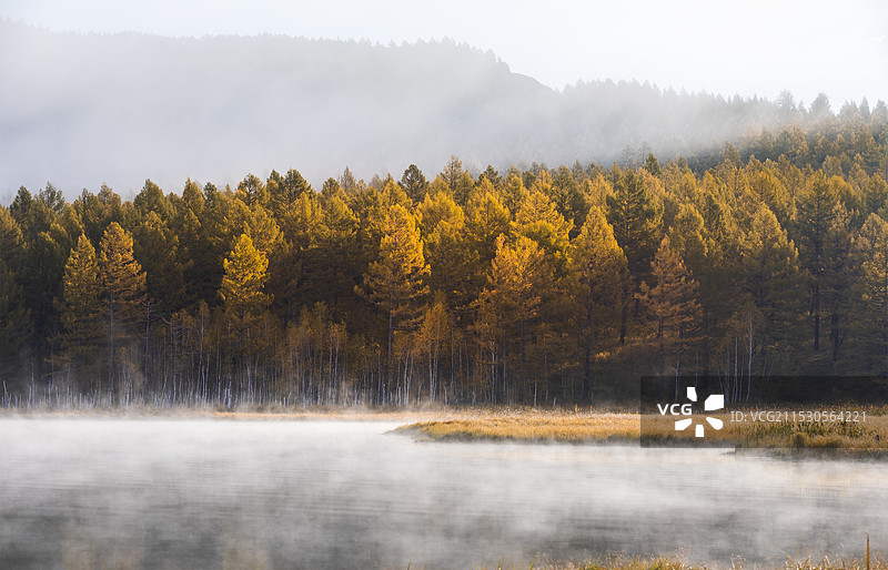 阿尔山乌苏浪子湖晨雾图片素材